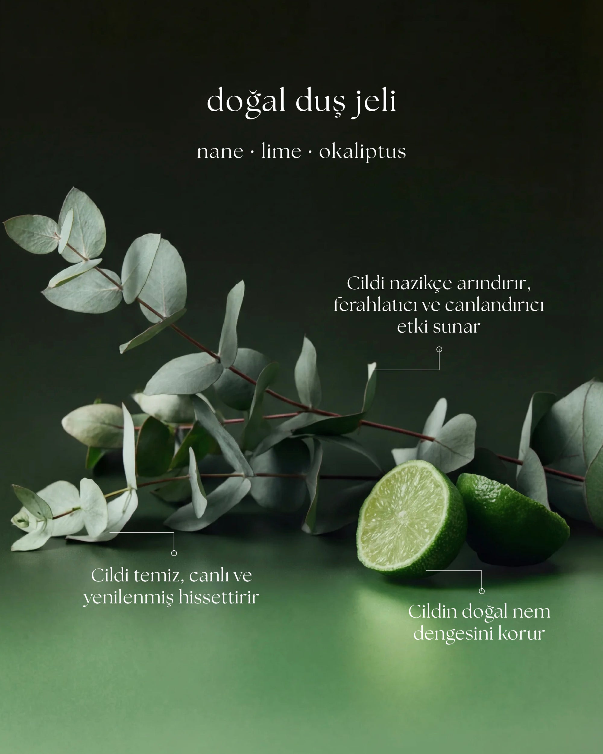 Lalive Doğal Duş Jeli – Lime & Nane & Okaliptüs